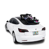 SeaSucker Ski and Snowboard Rack